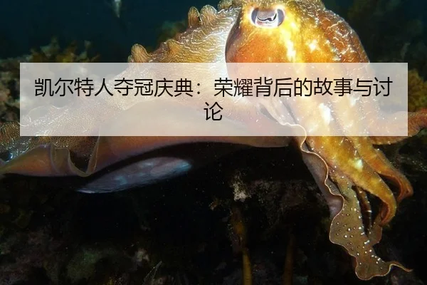 凯尔特人夺冠庆典：荣耀背后的故事与讨论